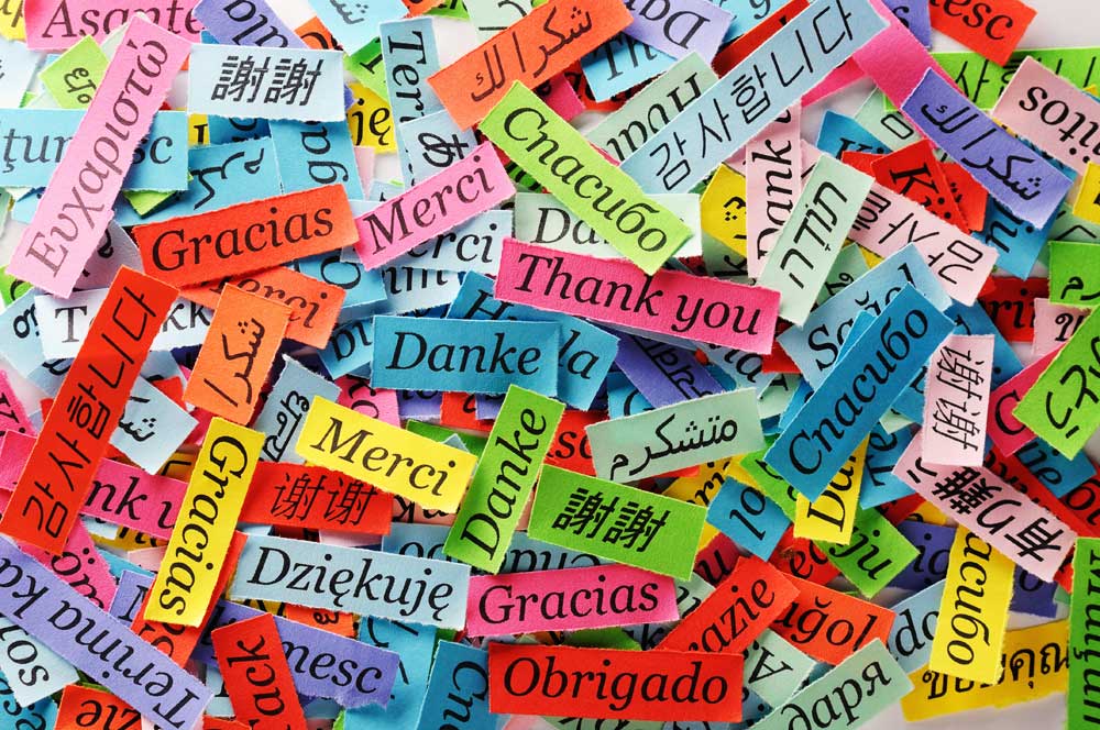 Clases particulares de idiomas